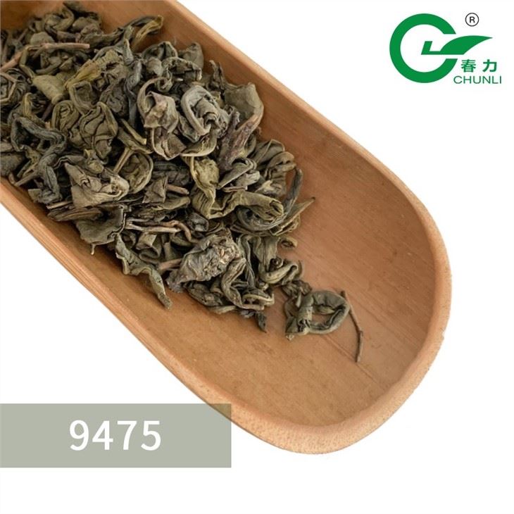 Gunpowder Tea wholesale